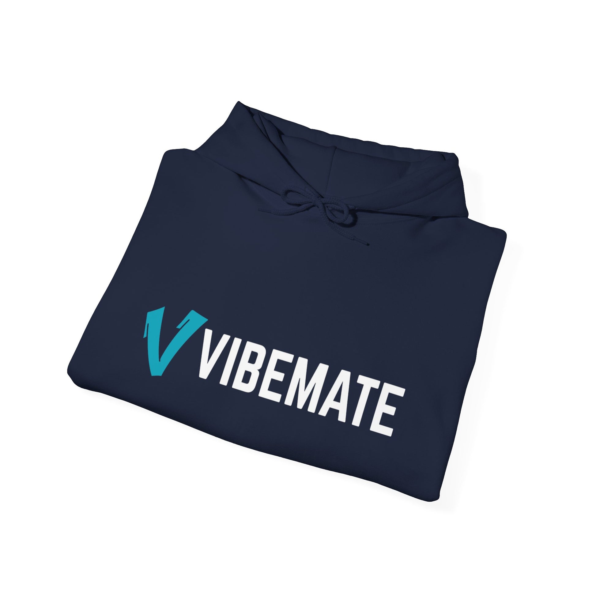 VIBEMATE World Tour Hoodie